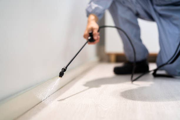 Licensed Termite Control service in Shaw, MS - Nex Pest Control