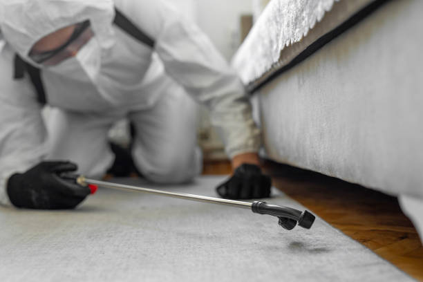 Professional Termite Control technician working in Shaw, MS