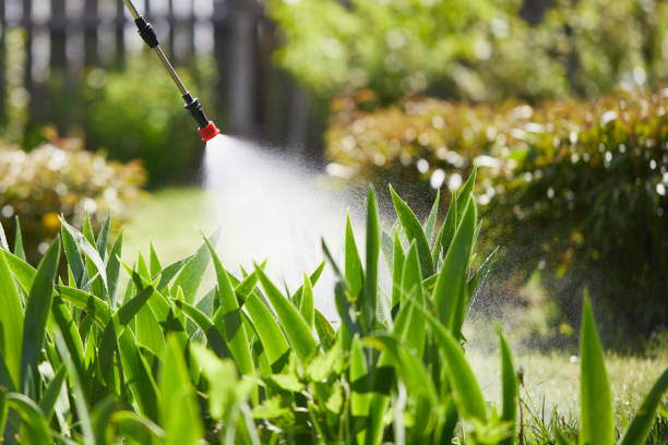 24/7 Emergency Termite Control experts in Shaw, MS