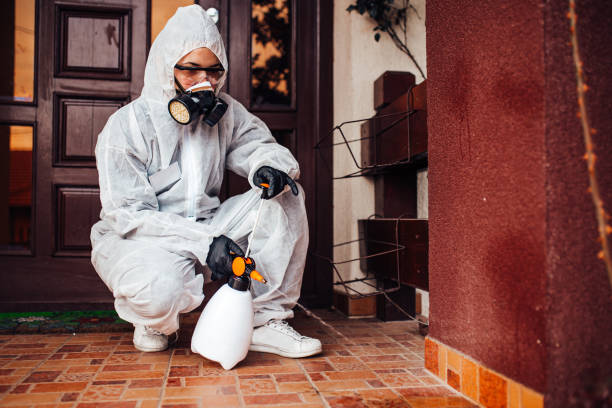 Reliable Termite Control contractor in Shaw, MS by Nex Pest Control