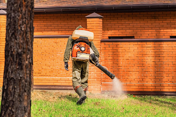Top rated local Termite Control specialists in Shaw, MS